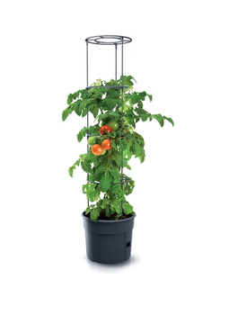 Prosperplast doniczka do uprawy pomidorów Tomato Grower IPOM300-S433